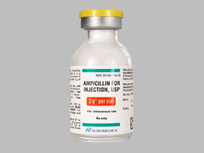 Ampicillin Sodium Solution Reconstituted — prescription drug image