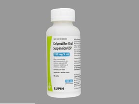 Cefprozil Bottle — prescription drug image
