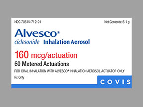 Alvesco Inhaler — prescription drug image