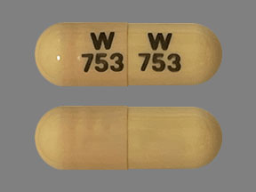 Eulexin Capsule — prescription drug image