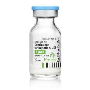 Ceftriaxone Sodium Solution Reconstituted — prescription drug image